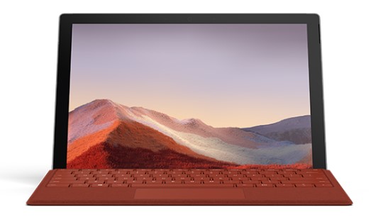 左贡清洁和维护 Surface